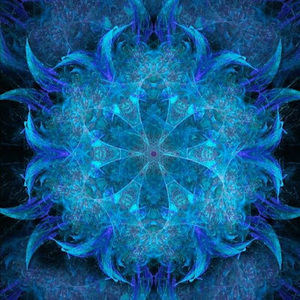 Meet your Posher, Cory & dora